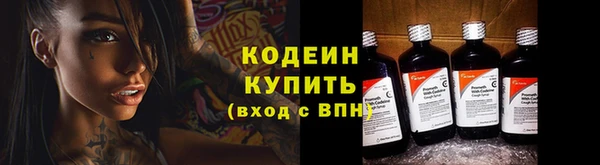 прущий лед Краснослободск