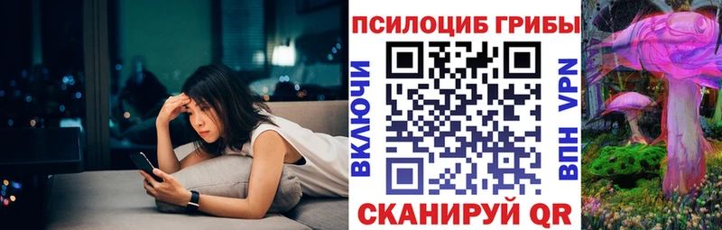 MEGA маркетплейс  Кочубеевское  площадка состав  Галлюциногенные грибы GOLDEN TEACHER 